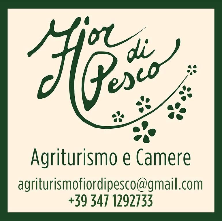 Hotel Agriturismo Fior Di Pesco Sommacampagna Exterior foto